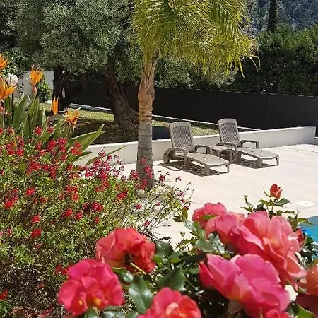 Villa Villaserena83